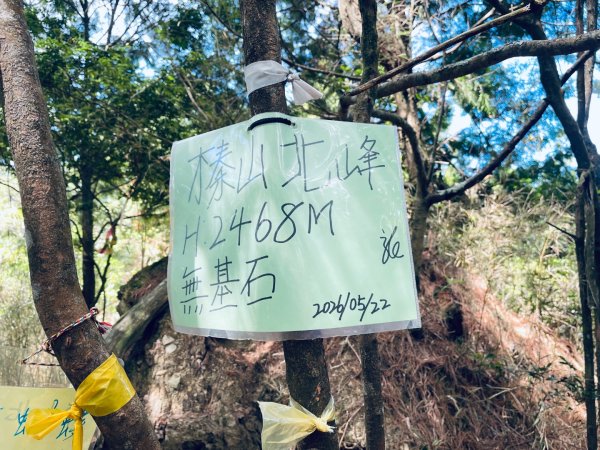 20260531觀霧榛山登山步道（榛山北峰+主峰+環形步道）3071477