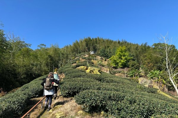 溪頭六連峰O繞2741769