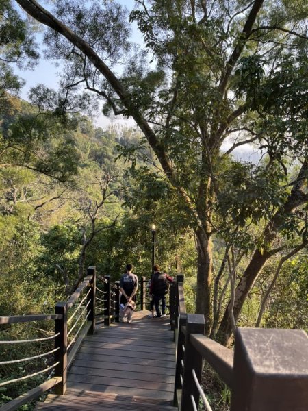 大坑9-1號步道2732234