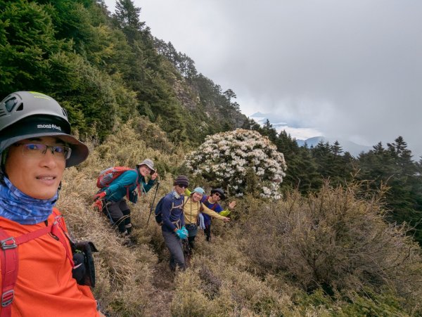 卯木山_小完美谷_畢祿山3045015