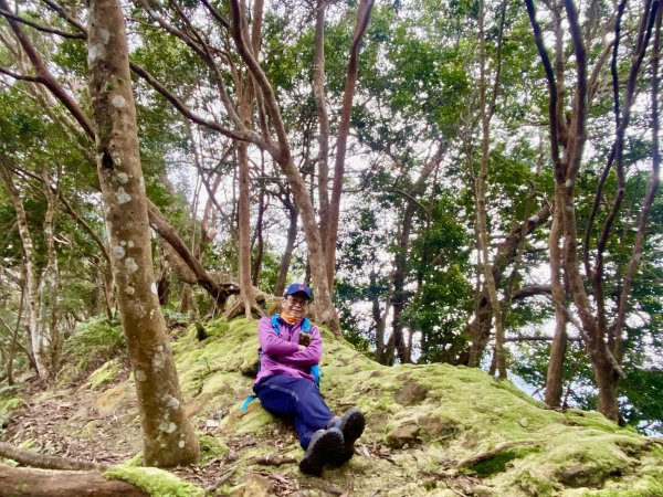 坐公車接駁的神仙縱走2707431