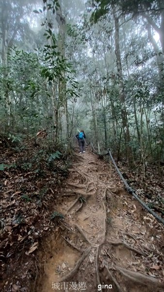 【南投魚池】中部四大名山之山高路遠。 水社大山登山步道2037917