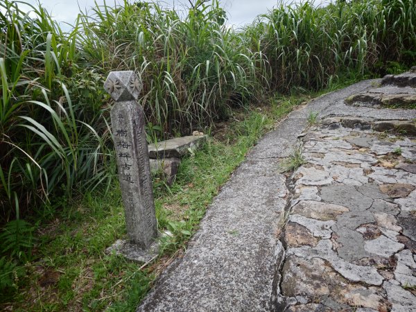[淡蘭古道] 2026_0531 北路第一段_樹梅坪古道3070648