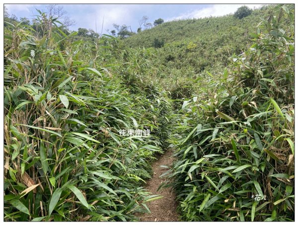 聖母峰、三角崙山 (抹茶山) 連走2802230