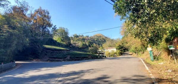 2025-01-30迷糊步道2704468