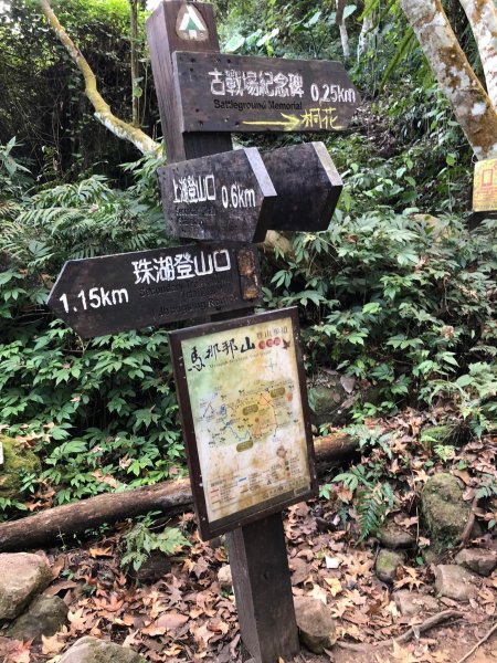 馬那邦山登山步道 NO 37 / 苗栗縣大湖鄉--我的第13座小百岳1598260