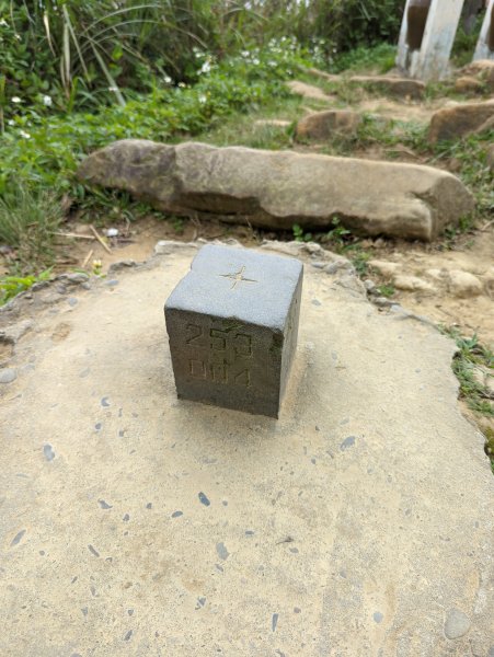 2022.03.05－大棟山縱走1636854