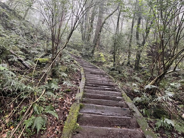 [玉山尋寶任務-01/12] 2025_0726 庫哈諾辛山登山步道2847384