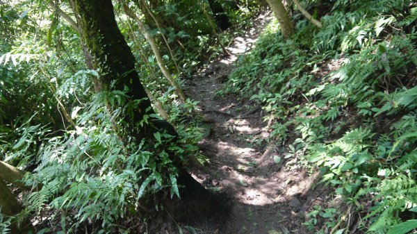 觀音山登山健行趣(小百岳05號)1632400