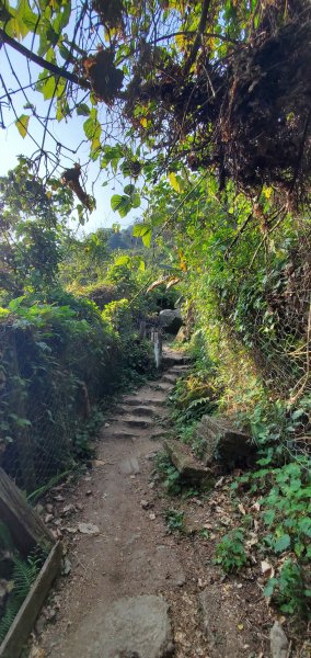 2023-03-12馬那邦山登山步道2065823