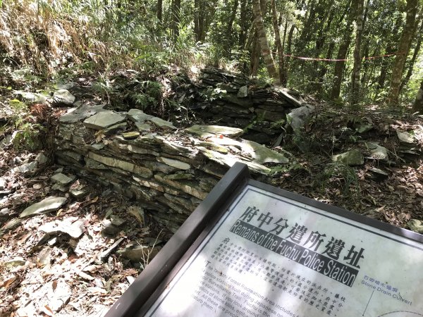 110年5月16日高雄   藤枝國家森林遊樂區1456924