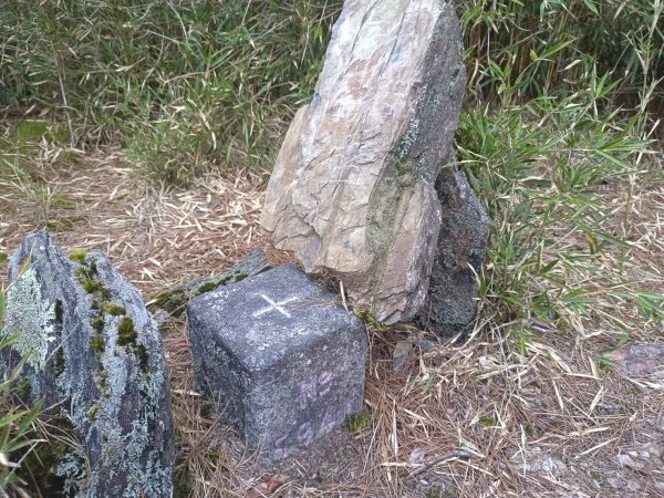 20250420南投瀧奧、奇萊尖山、合歡八連峰2768493