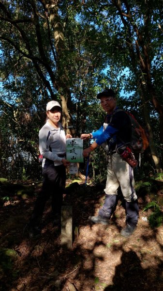 安坑五山縱走2784632