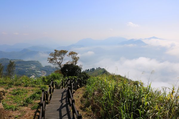 【嘉義。番路】漫步在雲端 。二延平步道