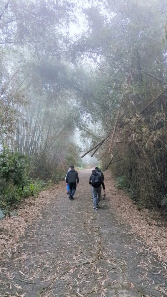 ∆小百岳∆ 旗尾山2750760