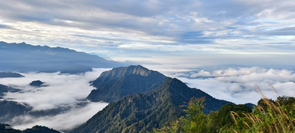 #馬那邦山 #琉璃光 #日出 #雲海 #山羌 #楓葉 10/25 & 11/12924595