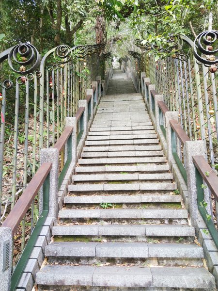 南投魚池~尋找自己生日的階梯。年梯步道1027935