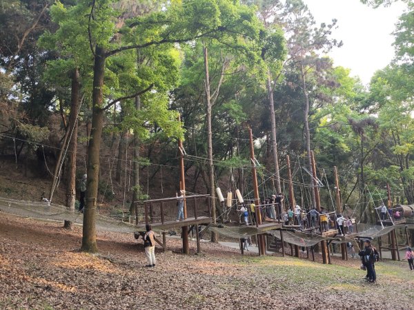 東勢林場森林浴場步道3019114