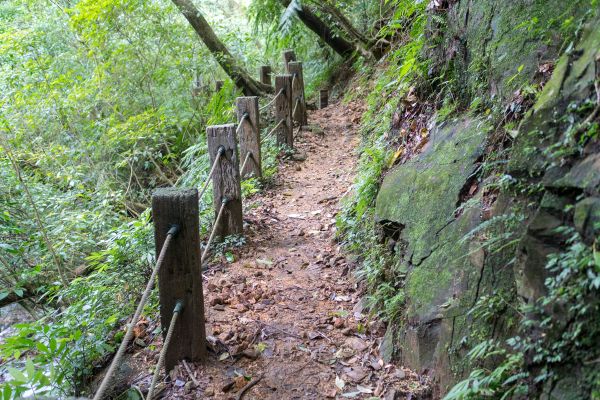 魚路古道北段406036