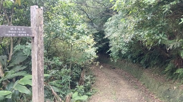 雙溪區嶺頭觀日步道-西九份坑山-西九份坑山前峰-雙溪車站3063081