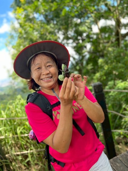大坑1號和2號步道2826394