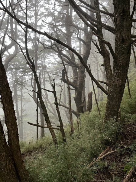 小關山林道神池營地202310222326127