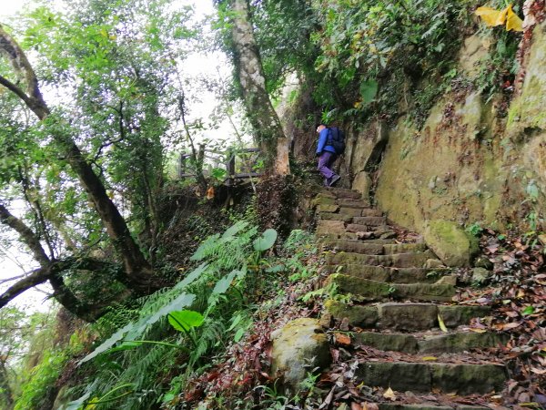 台南東山~山上尋悠。 #65小百岳崁頭山915985