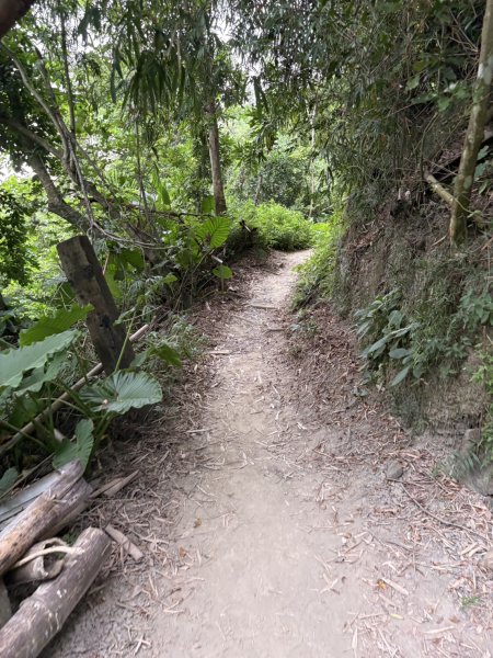 20251024蘭潭後山步道、紅毛埤山、山子頂山2924069