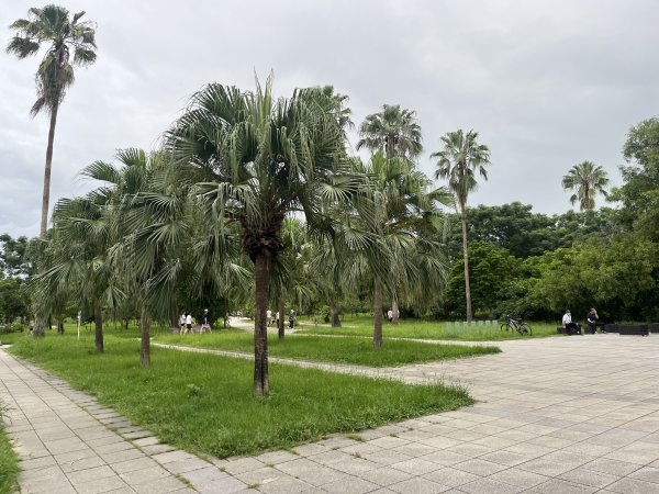 [全臺走路趣尋寶-39/100] 2024_0818_台南市巴克禮公園2577375