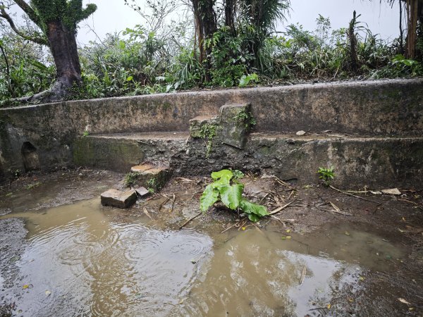 2026_0131 獅球嶺西砲台2997809