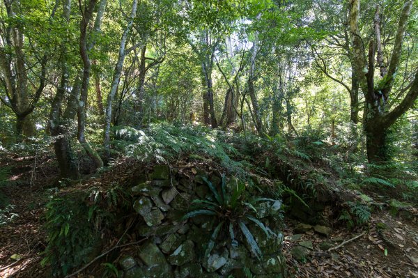 【秀巒-芝生毛台山】砲台遺址1030521