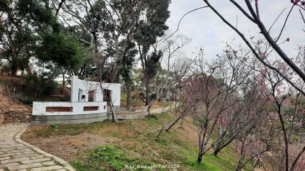 《彰化》花景第一排｜花壇虎山巖後山步道202402242436733