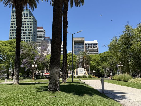 [紐約馬之行-58] 2025_1114 陸軍總部附近綠地2953827