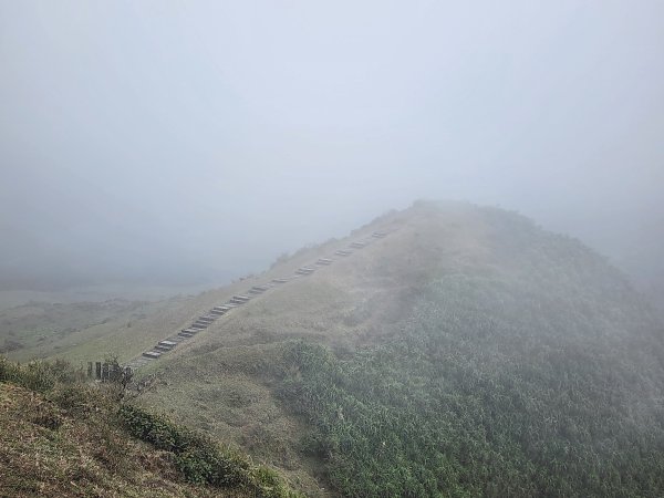 小百岳No.82⛰灣坑頭山3003063