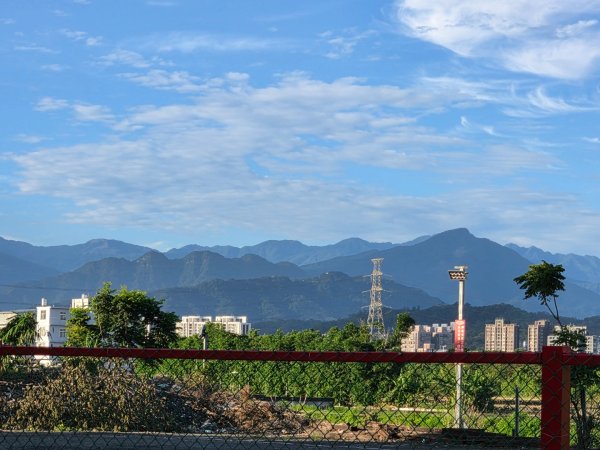 【中級山】麥巴來山，夢幻杉木林3089238