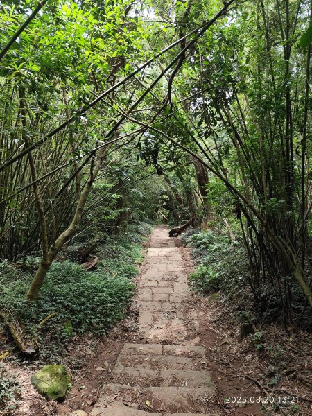 【臺北大縱走 1+2】2-2 大屯主峰-連峰步道→下青礐步道→貴子坑步道→忠義山步道→楓丹白露步道2866909