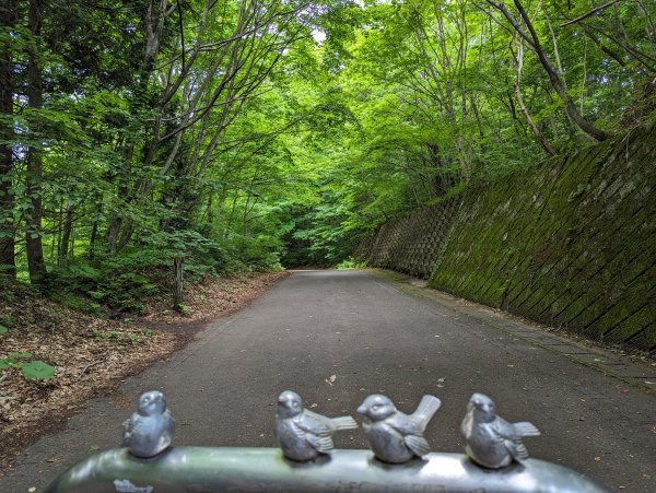 2023-06-14 十二湖（日本）2793194