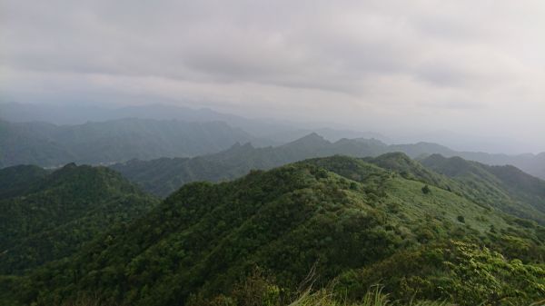 姜子寮山步道410632