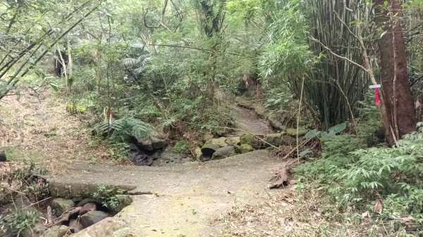 月眉洞步道-仙洞湖山未果3115488