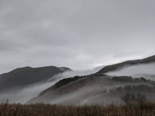 陽明山東縱走1357632