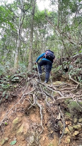 阿冷山 谷關第八雄2877430