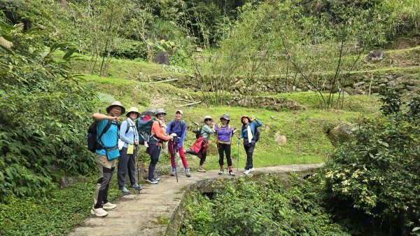 搭公車下車即抵達，台北市賞櫻最後一波，橘咖啡及內厝溪櫻木花廊的吉野櫻即將大爆發，要去要快，大崎頭步道2734708