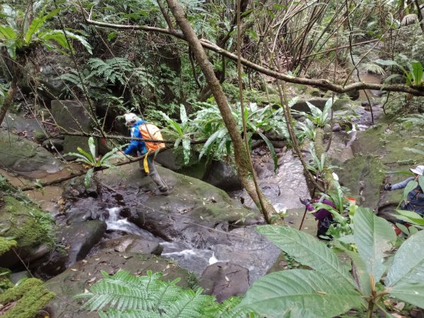 雷公埤山-鱷魚島觀景-小格頭獅頭山2001527