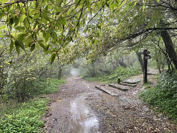 台北大縱走第一段2738412