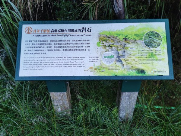 台灣山毛櫸步道-夏日碧綠盎然佐壯觀山巒1039597