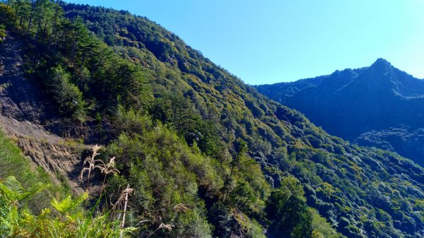 石山引水道1179235