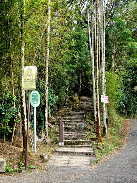 雲嘉大尖山、二尖山步道--(雲林)臺灣百大必訪步道2955784