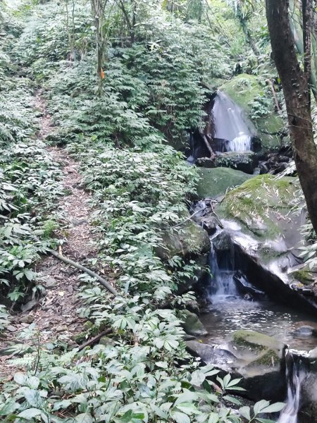 三峽白雞三山2963351