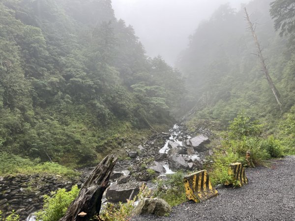 [玉山尋寶任務-01/12] 2025_0726 庫哈諾辛山登山步道2847366