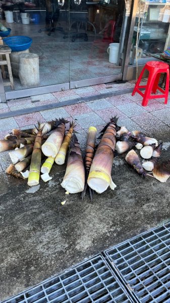 石碇_鱷魚島、千島湖
